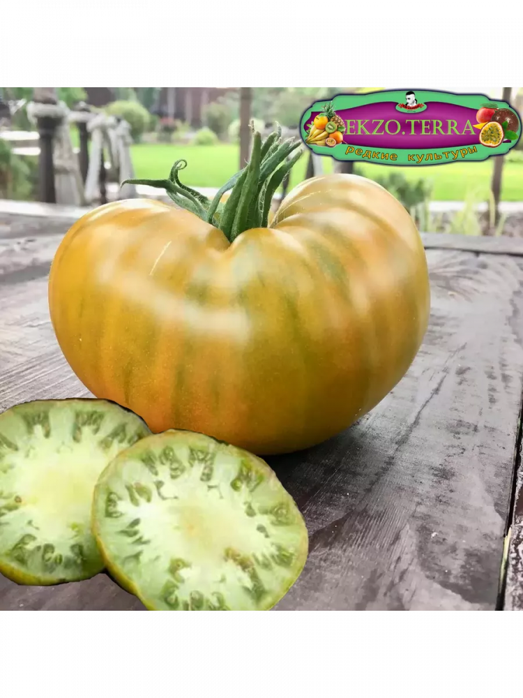 ������ ����� 'Malachite'