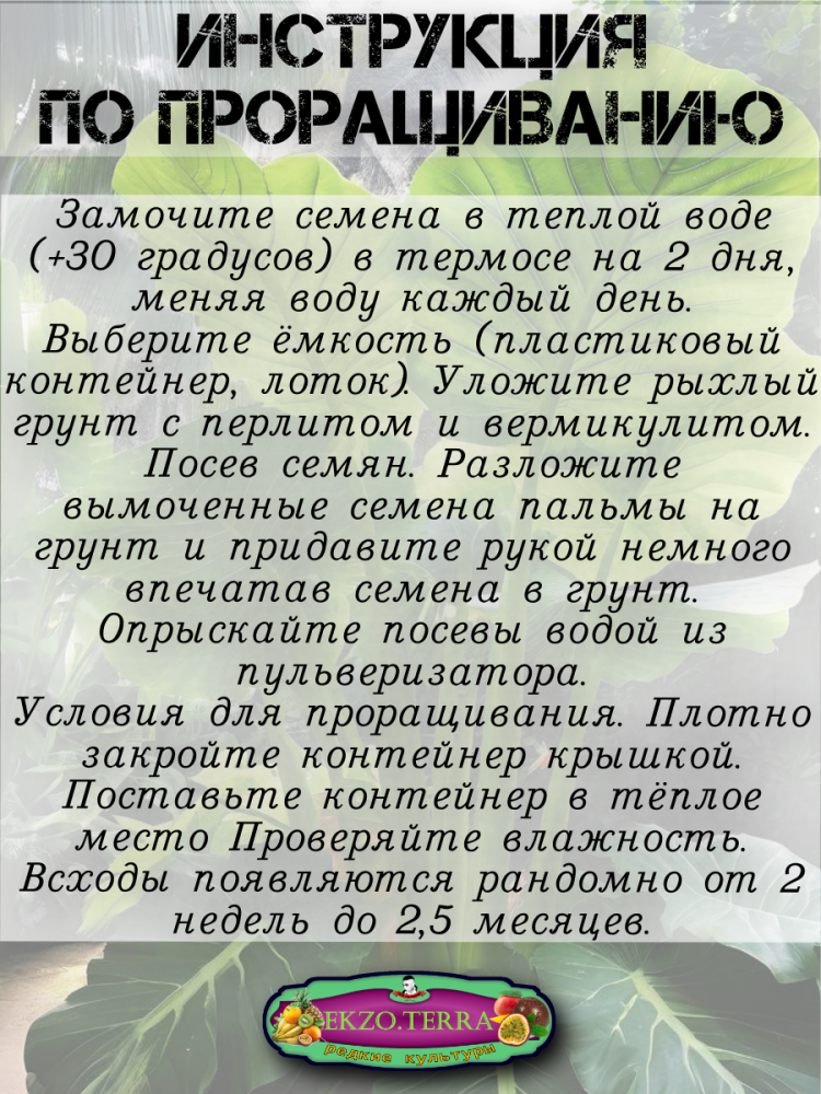 ������ ������ ����� ������������