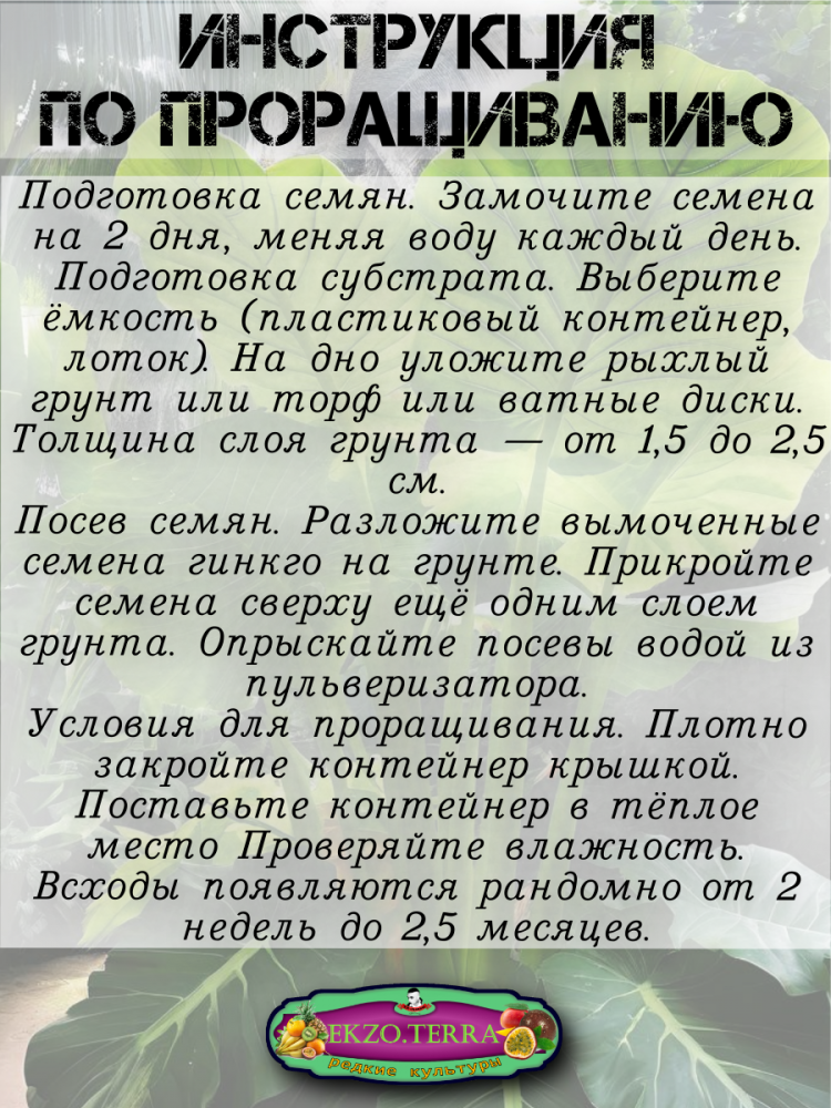 ������ ������ ������ (����� ����������)