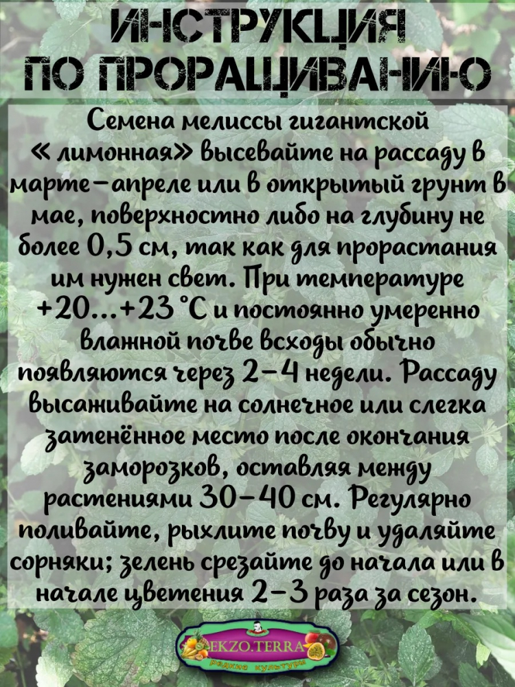 ������ ������� ��������, ���������� 0.05�