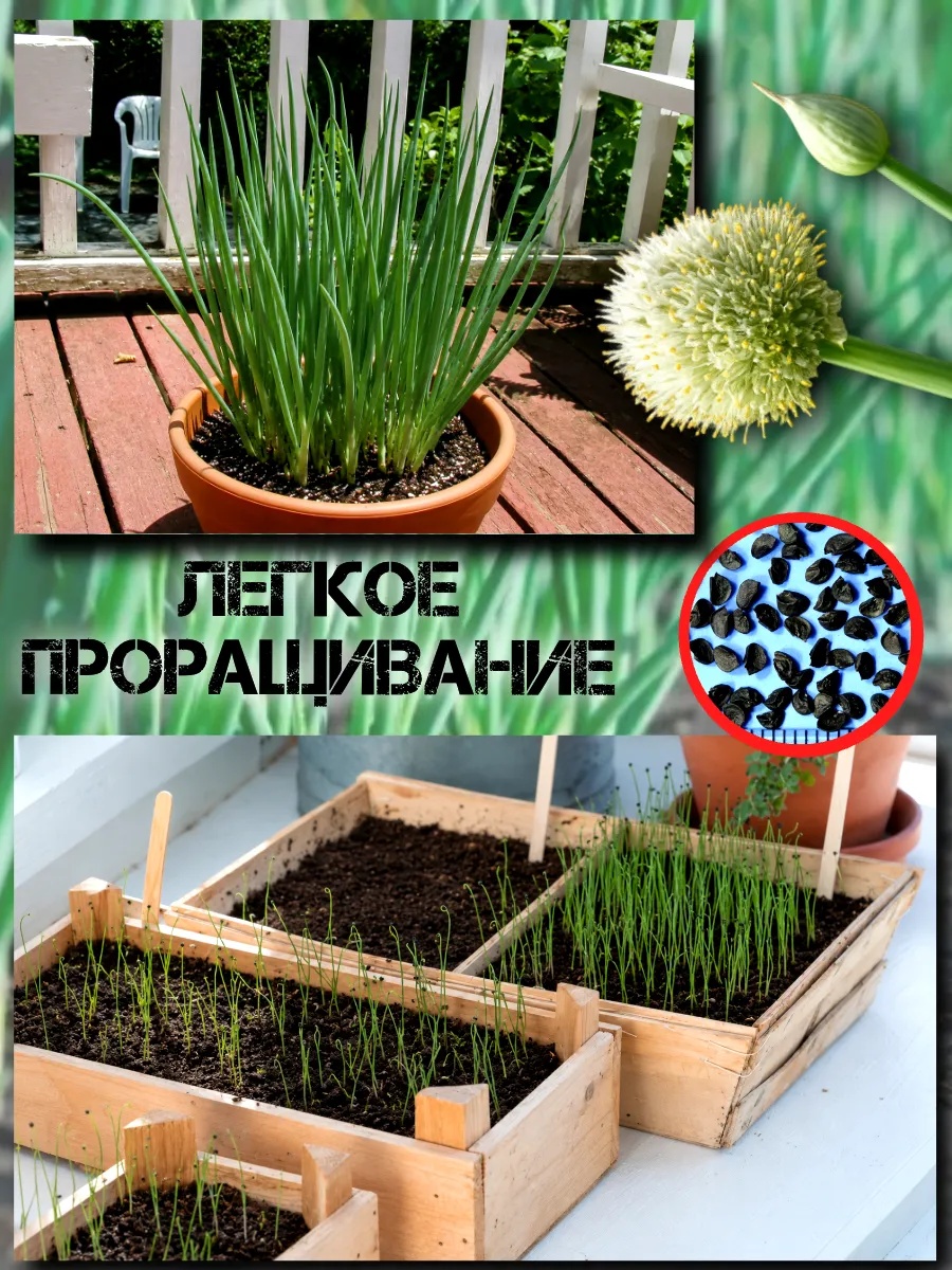������ ��� �� ���� "������� �����" 0,1�