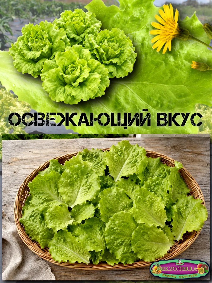 ������ ����� ������ "������ ����" 0,05�