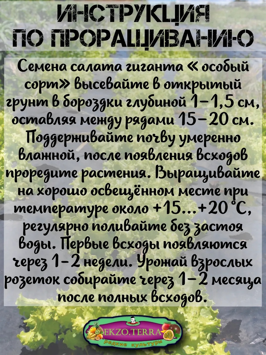 ������ ����� ������ "������ ����" 0,05�