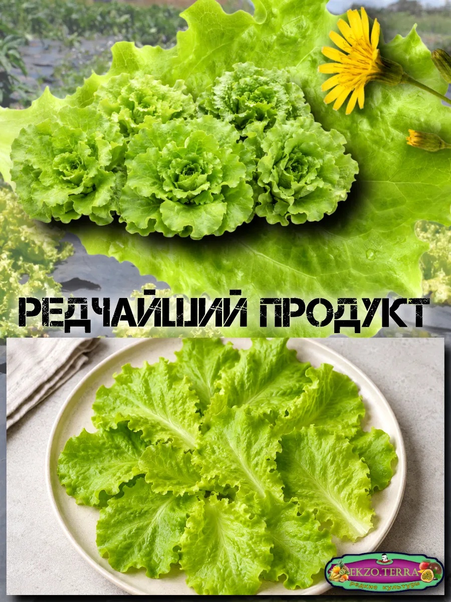 ������ ����� ������ "������ ����" 0,05�