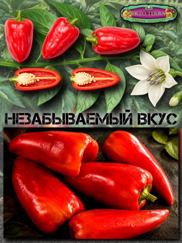 ������ ����� ������� ������������, ���������� 10��