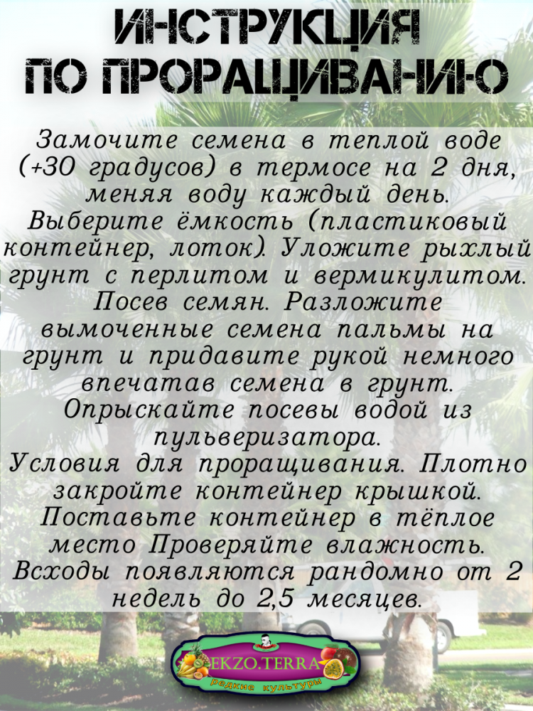 ������ ������ ����������� ��������������