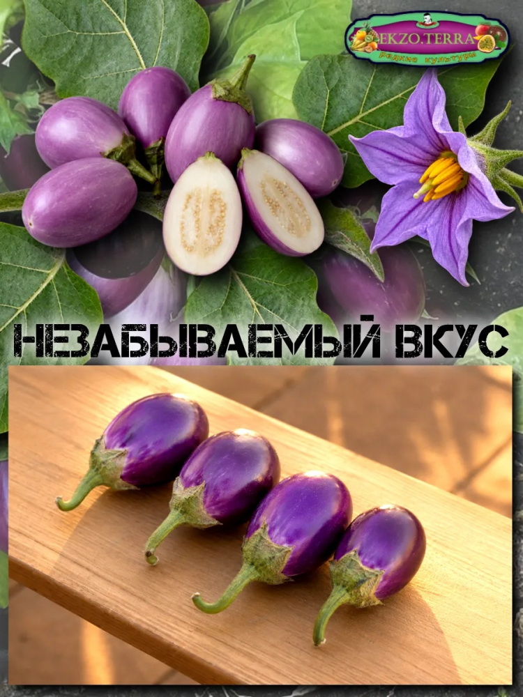 ������ �������� ���������� 
