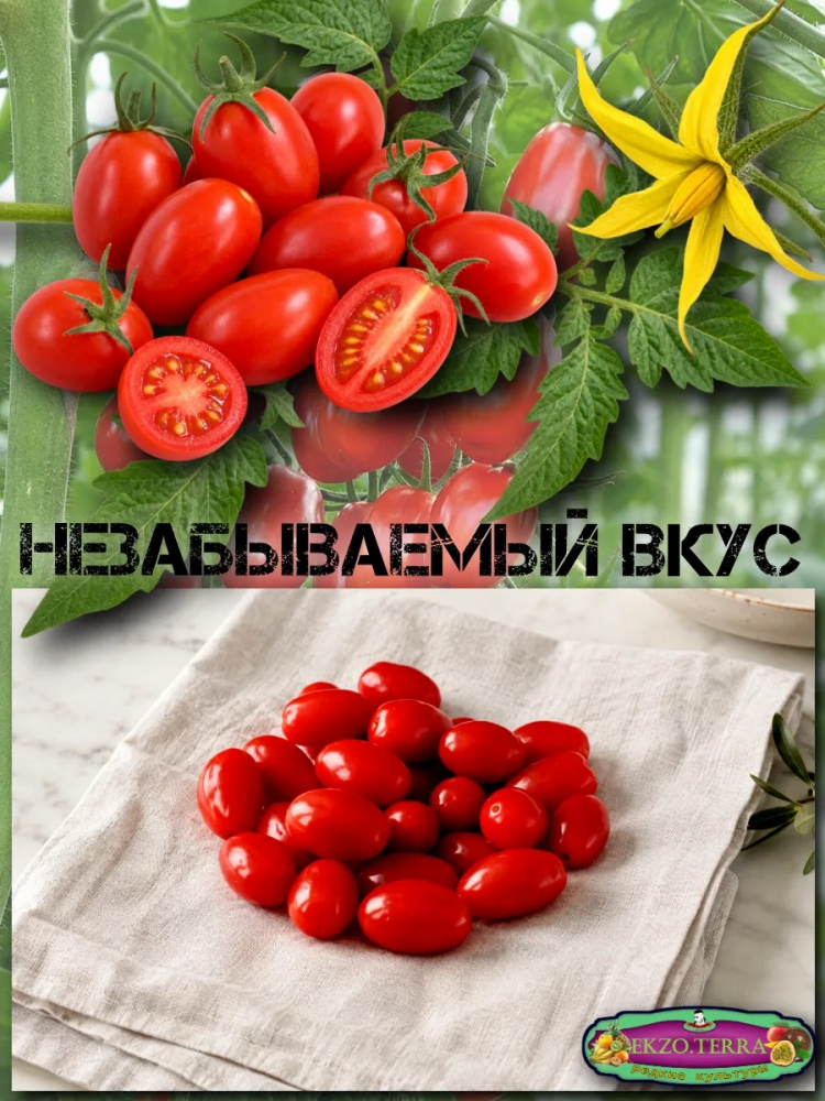 ������ �����-����� 
