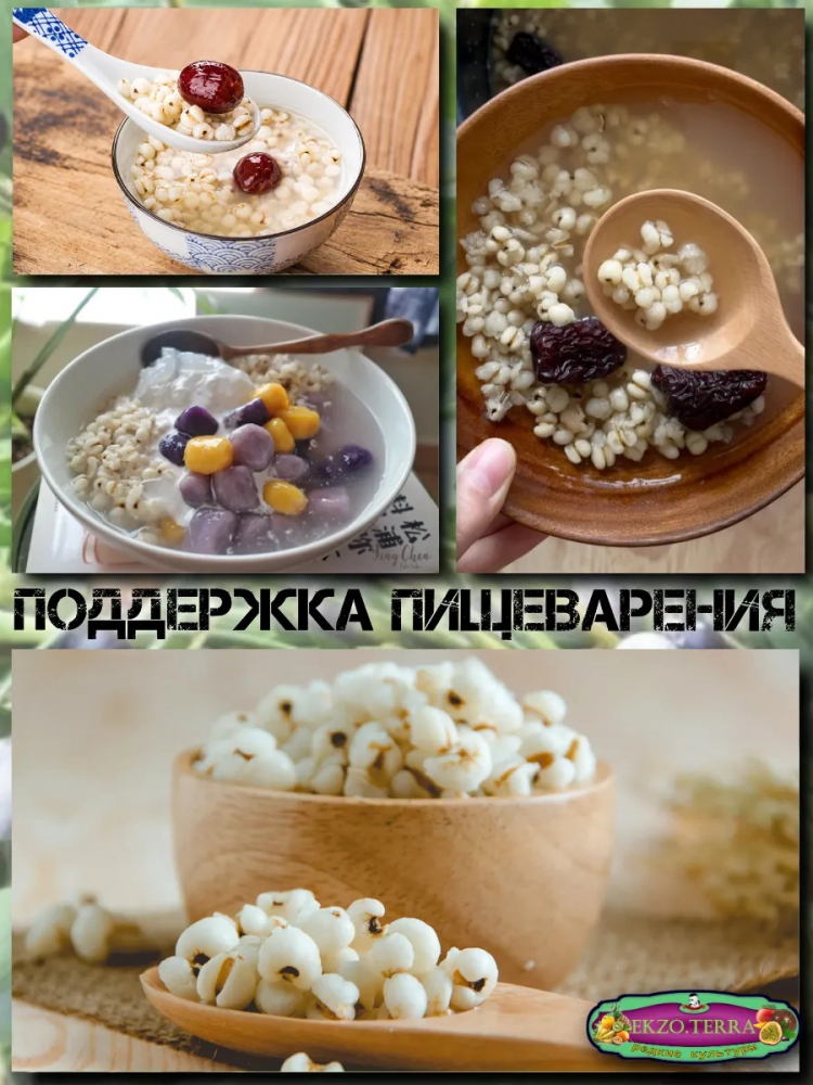 ������ �������� ������� ���� 5��