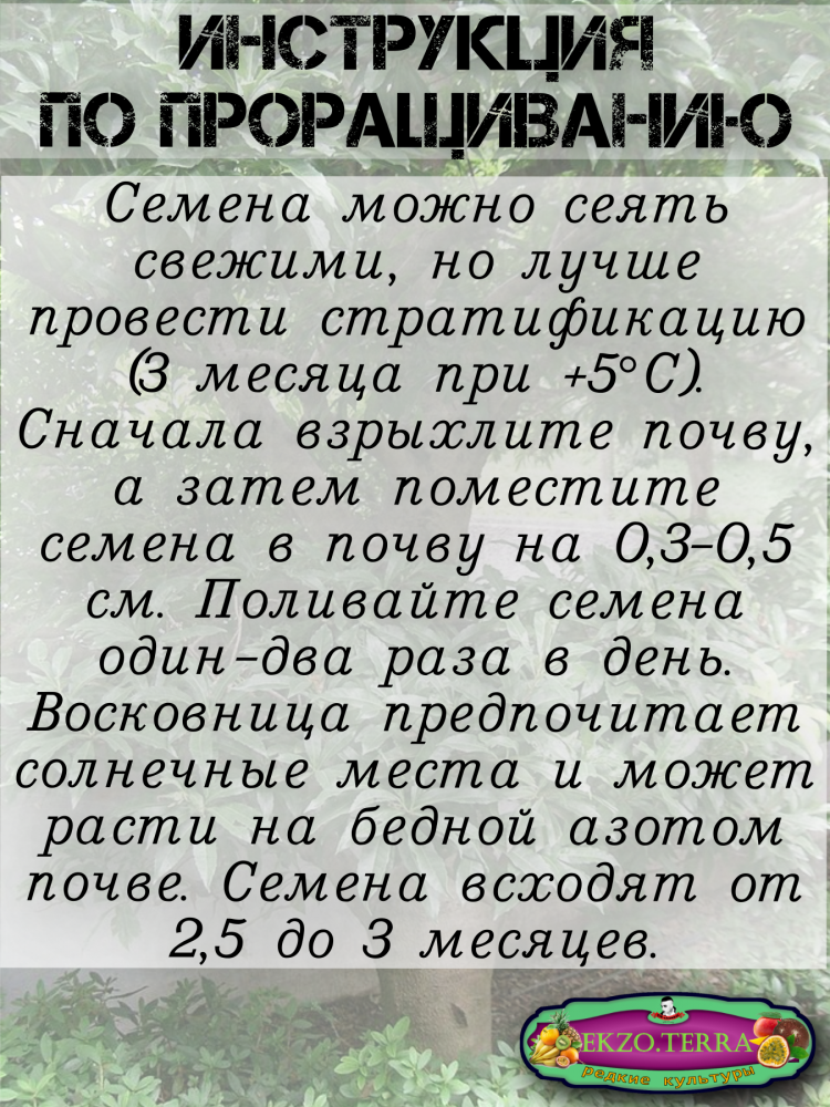 ������ ������ �����, ���������� �������
